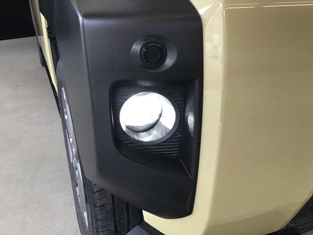 Daihatsu Taft 11