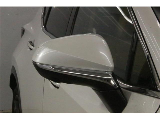 Lexus NX 11