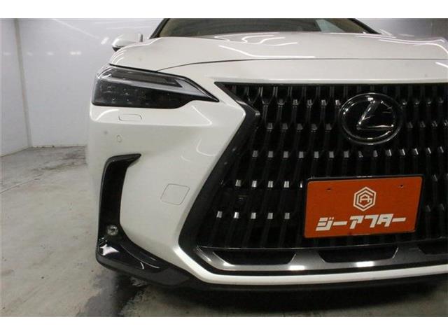 Lexus NX 12