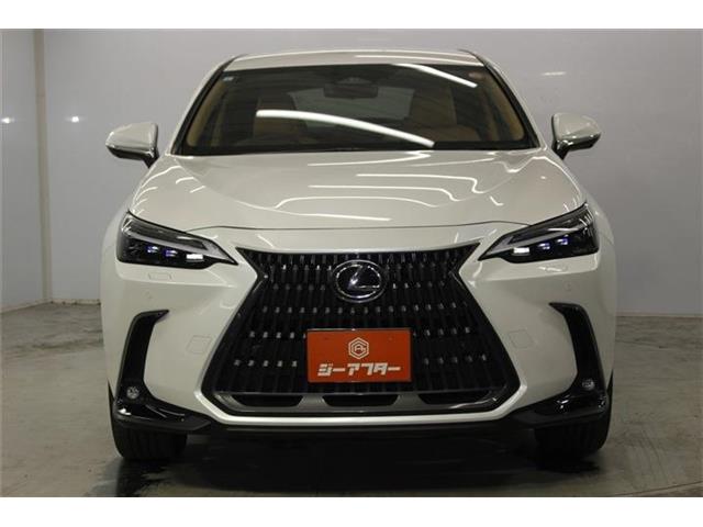 Lexus NX 3