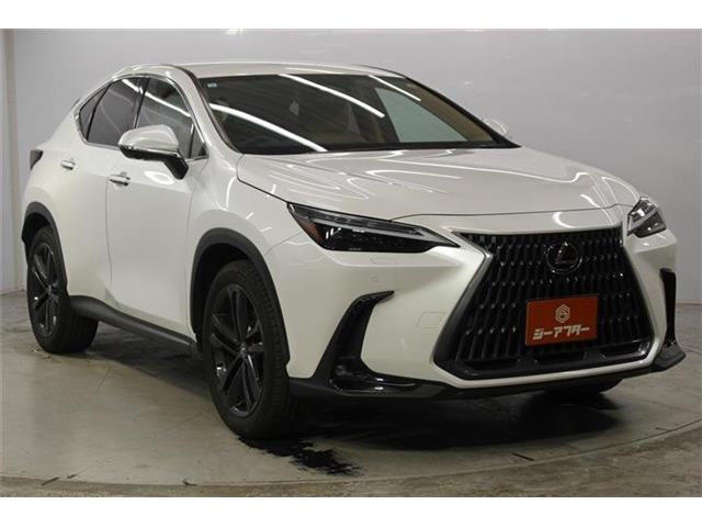 Lexus NX 4