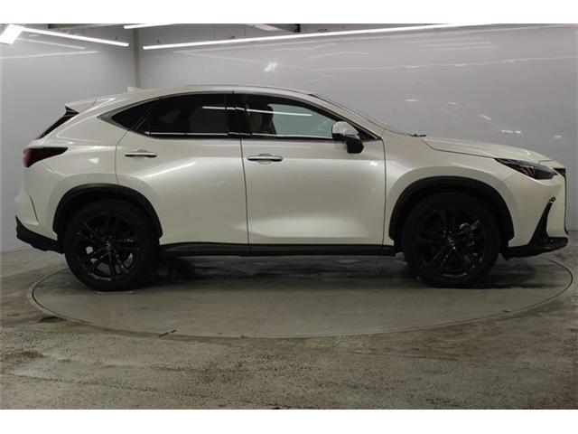 Lexus NX 5