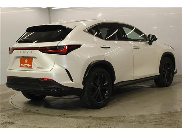 Lexus NX 6
