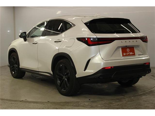 Lexus NX 8