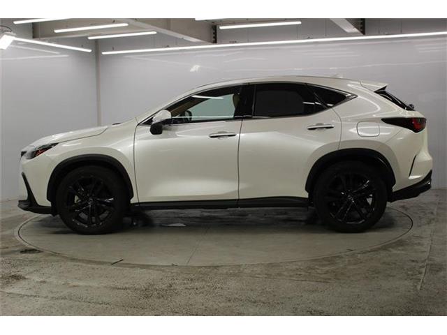 Lexus NX 9