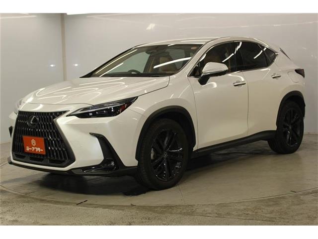 Lexus NX 10