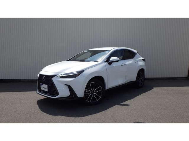 Lexus NX 5