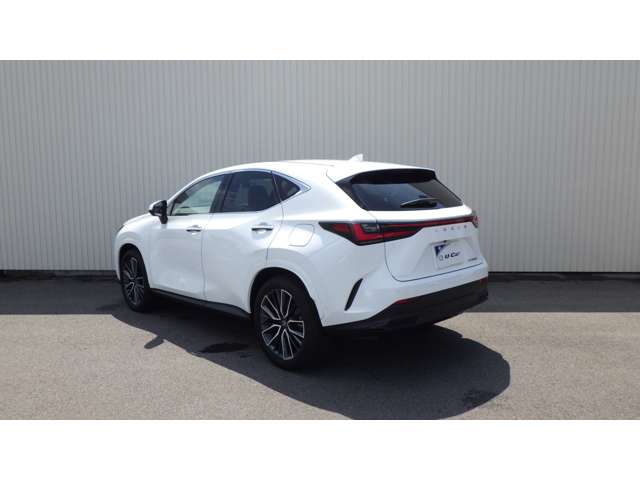 Lexus NX 6