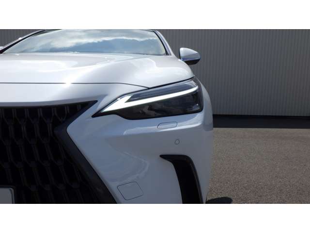 Lexus NX 7