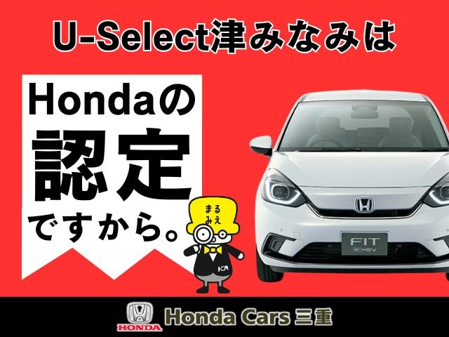 Honda N-VAN e: 2