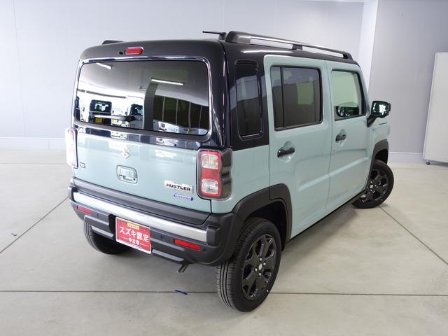 Suzuki Hustler 12