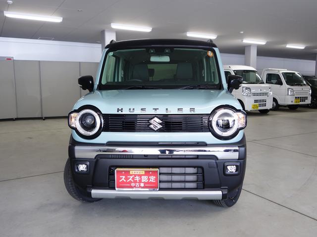 Suzuki Hustler 6