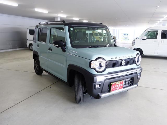 Suzuki Hustler 9