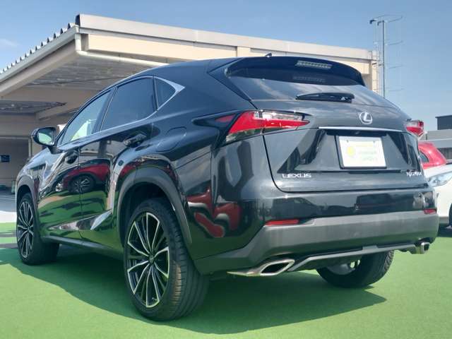 Lexus NX 11