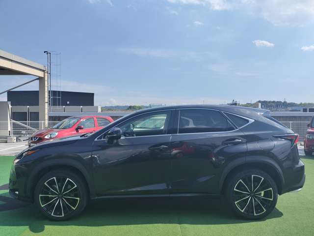 Lexus NX 12