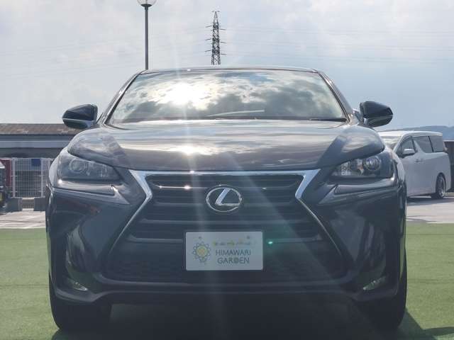 Lexus NX 6