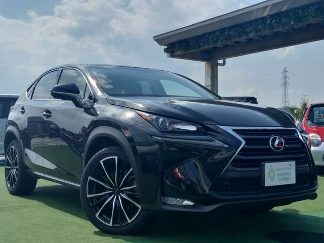 Lexus NX 7