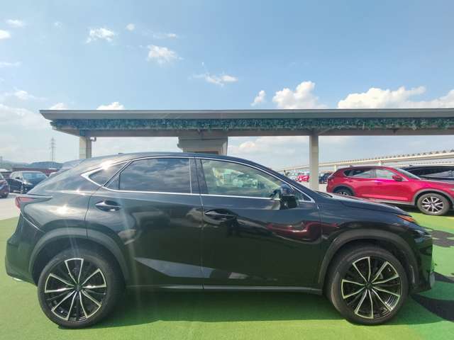 Lexus NX 8