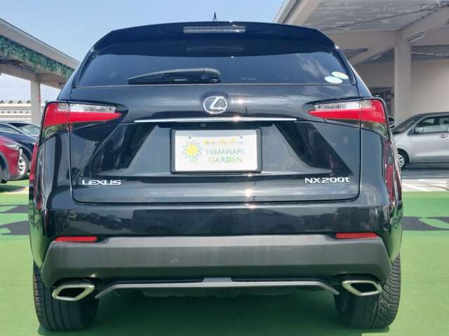 Lexus NX 10