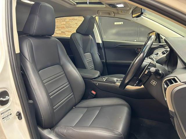 Lexus NX 11