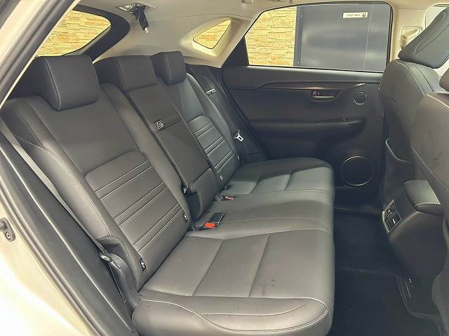 Lexus NX 12