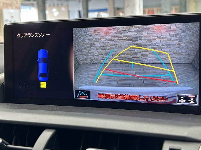 Lexus NX 4