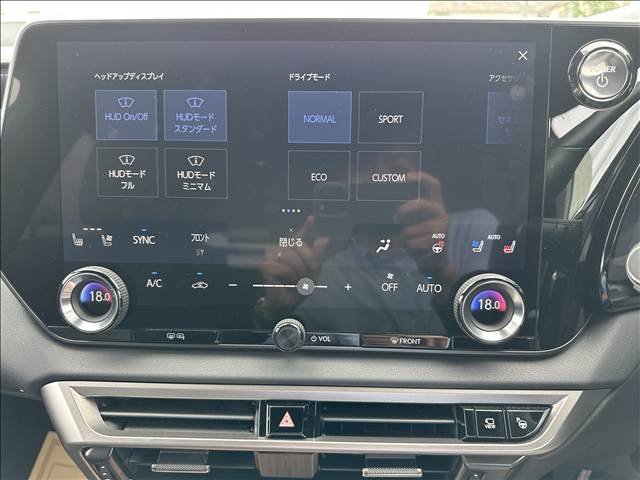 Lexus RX 11