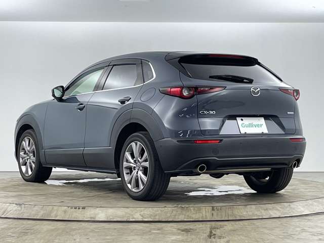 Mazda CX-30 12