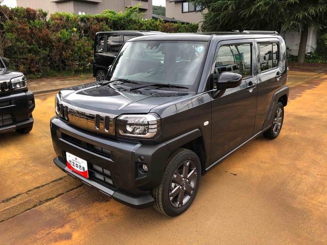 Daihatsu Taft 11