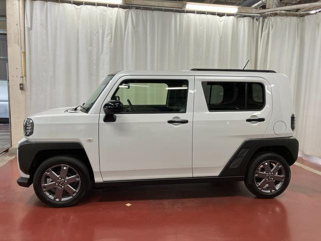 Daihatsu Taft 8