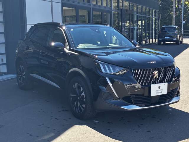 Peugeot SUV 2008 11