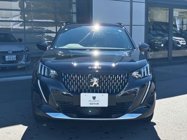 Peugeot SUV 2008 10