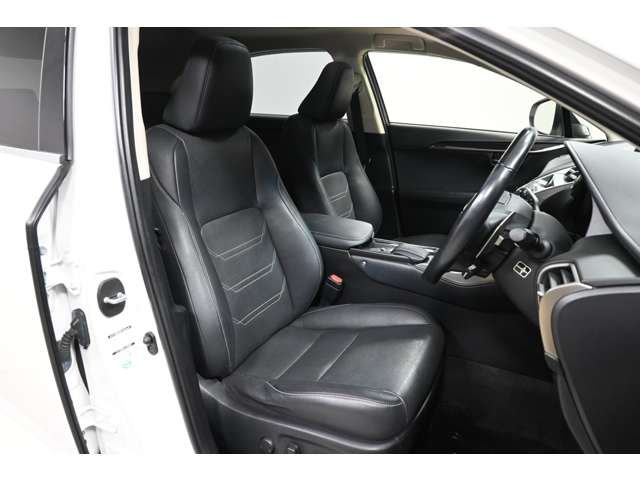 Lexus NX 11
