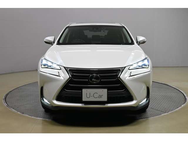 Lexus NX 4