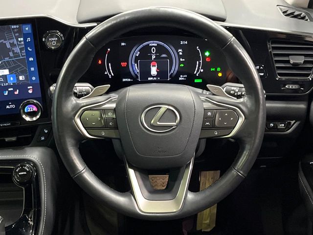 Lexus NX 11