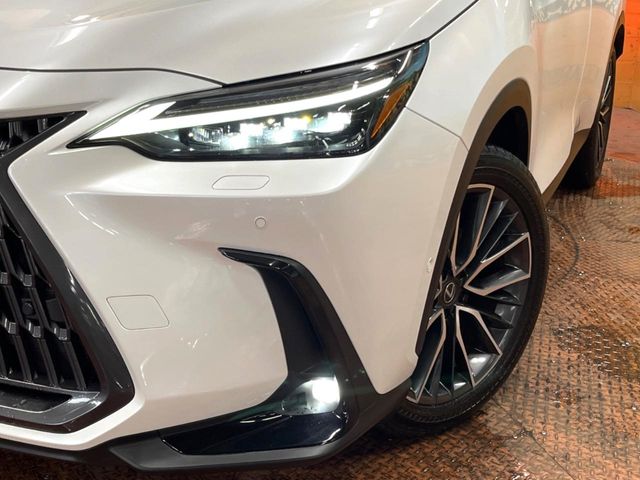 Lexus NX 12