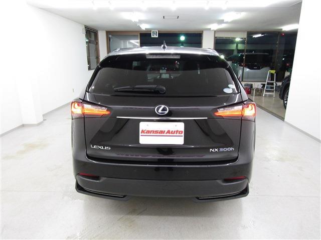 Lexus NX 6