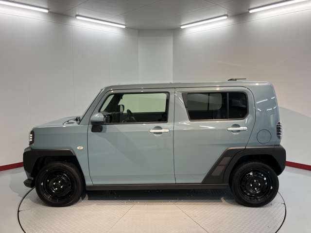 Daihatsu Taft 4