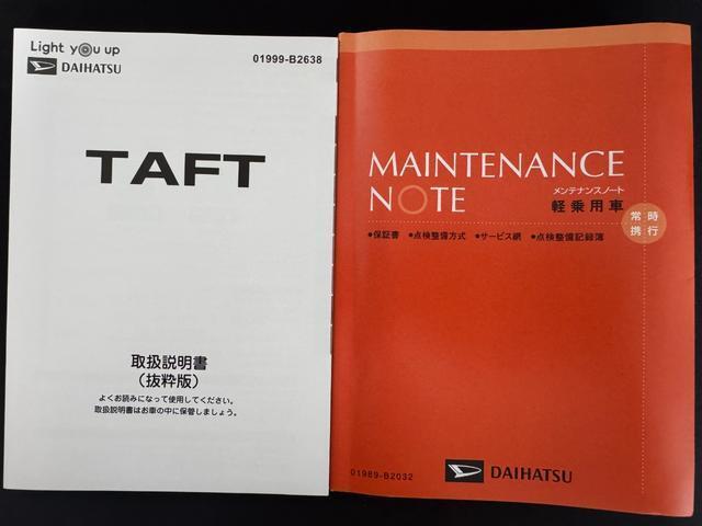 Daihatsu Taft 11