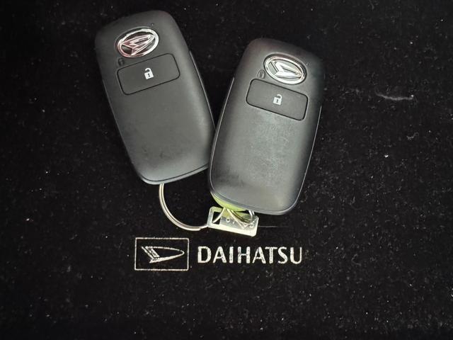 Daihatsu Taft 8
