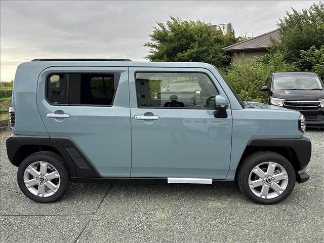 Daihatsu Taft 8