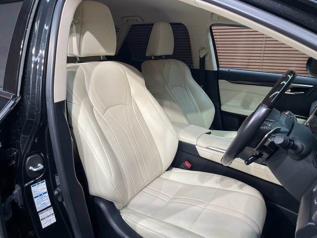 Lexus RX 11