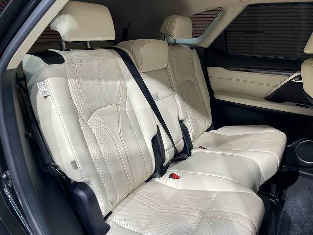 Lexus RX 12