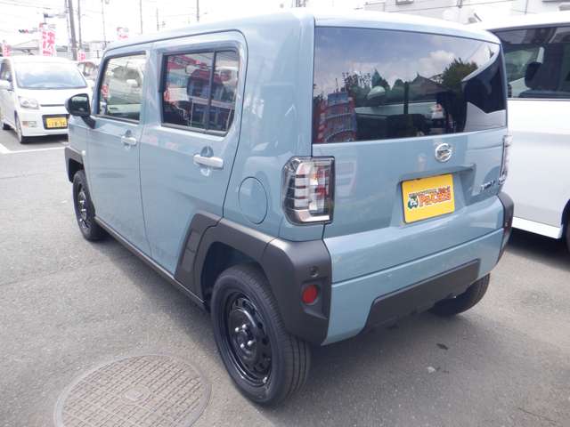 Daihatsu Taft 12