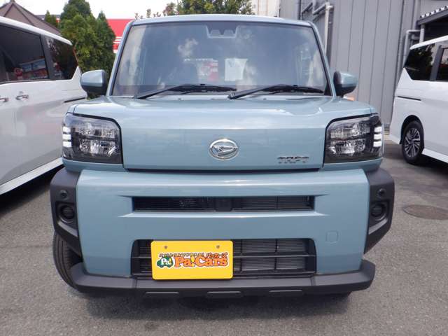 Daihatsu Taft 8