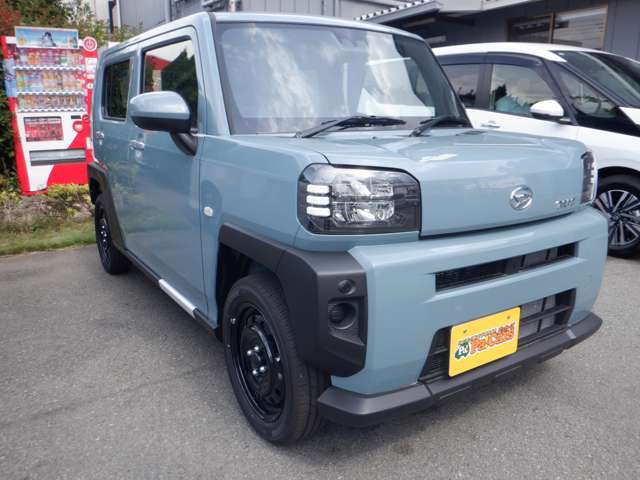 Daihatsu Taft 9