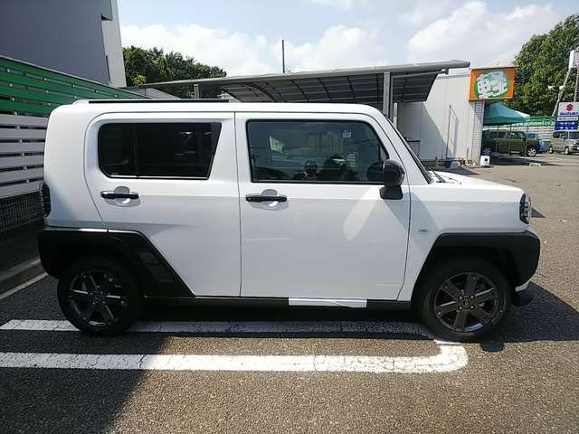 Daihatsu Taft 8