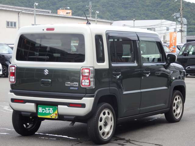 Suzuki Hustler 10