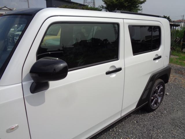 Daihatsu Taft 6
