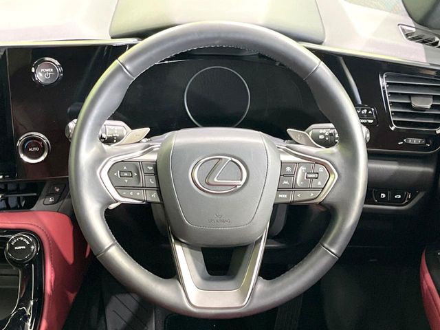 Lexus NX 11